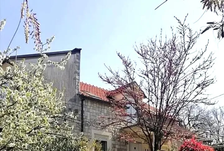 PRODAJE SE PROSTRANA PORODIČNA KUĆA – PODGORICA - slika 8