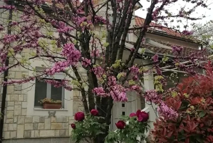 PRODAJE SE PROSTRANA PORODIČNA KUĆA – PODGORICA - slika 9